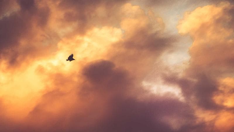 Active SoC intake fan replacement