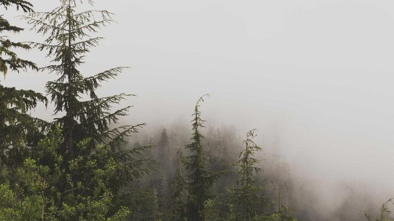 ALPS joystick desoldering drift repair