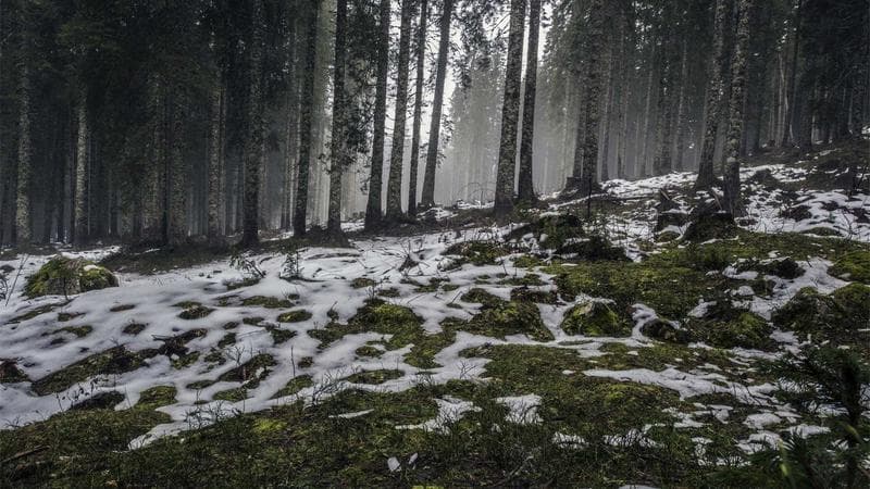 Controller analog stick and microswitch desoldering