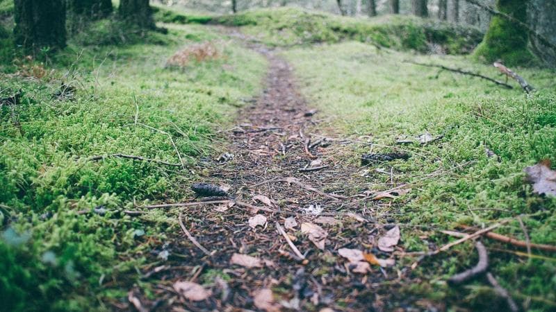Controller analog stick and microswitch desoldering