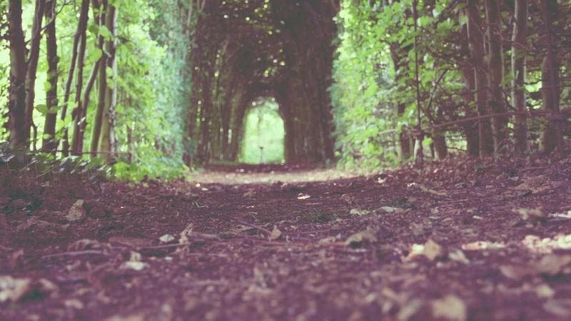 Controller joystick desoldering