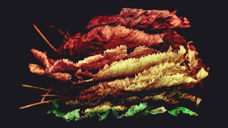 Controller trackpad haptic actuator repair