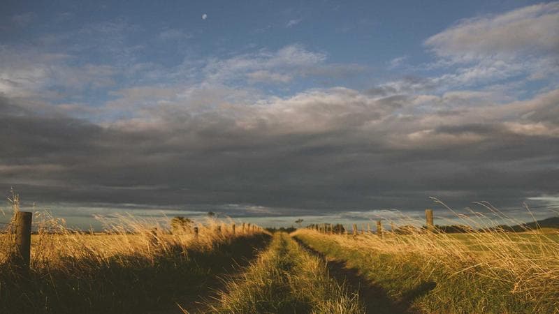 Diopter adjustment dial and pancake optic array replacement