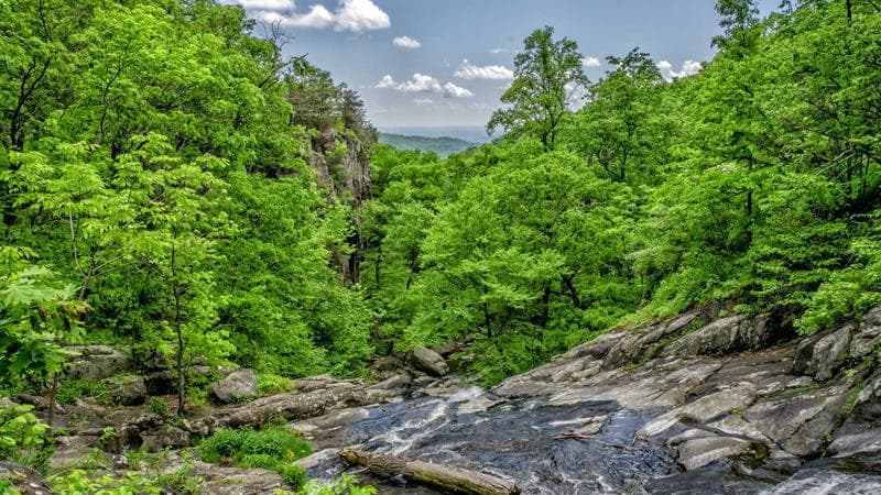 Diopter adjustment dial and pancake optic array replacement