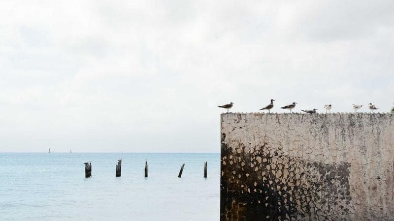 Index tether cable replacement