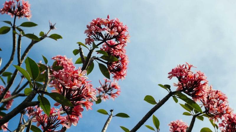 Internal visor haptic motor swap