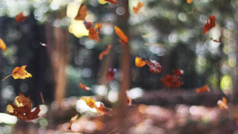 Internal visor haptic motor swap