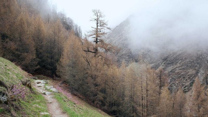 IR LED ring external camera swaps