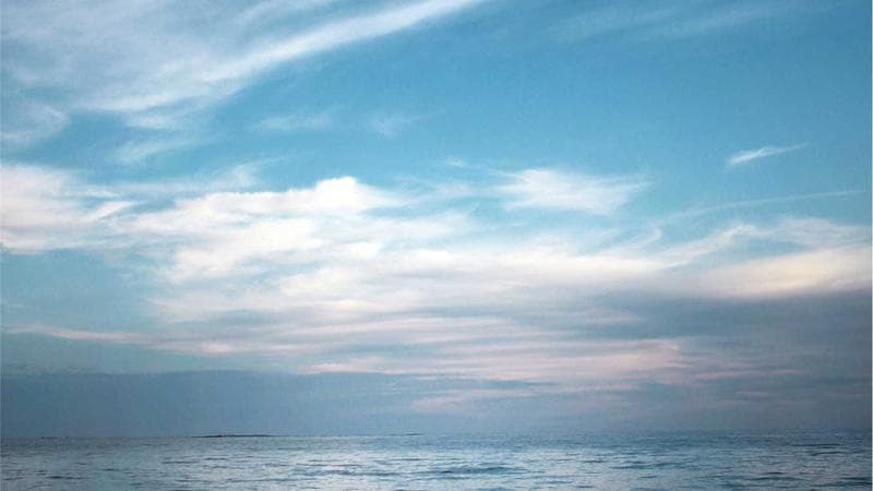 OLED LCD panel replacement sweat sun damage