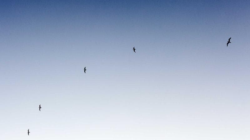 Pancake optical stack replacement