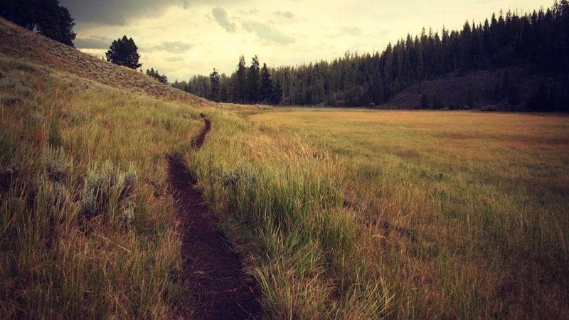 Rear-mounted head strap battery cell swap